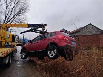 泰来楚雄道路救援